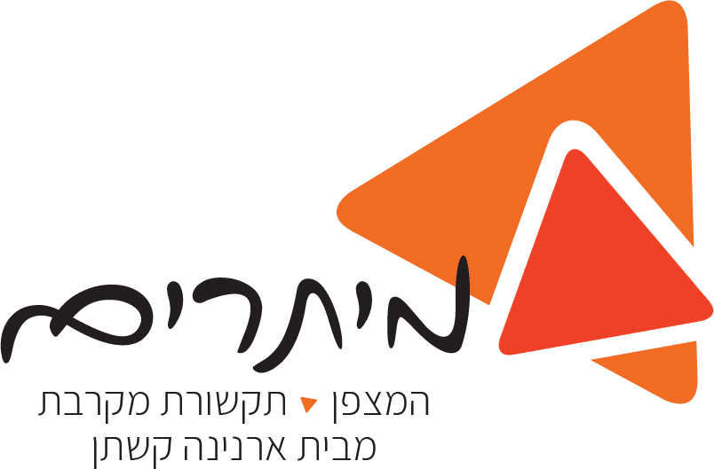 מיתרים לוגו