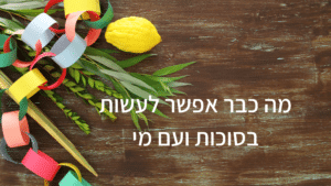 בלוג סוכות