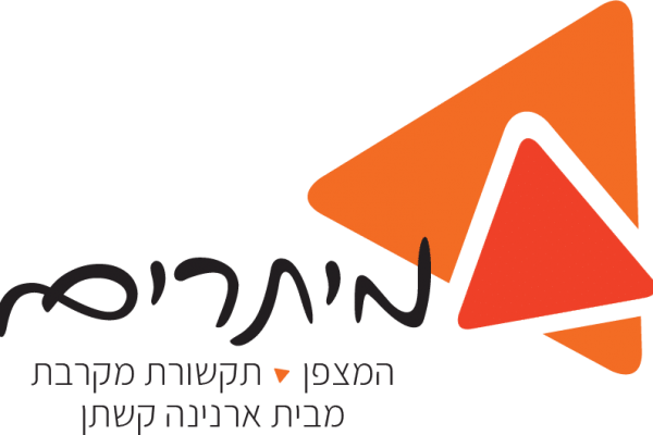 מיתרים לוגו